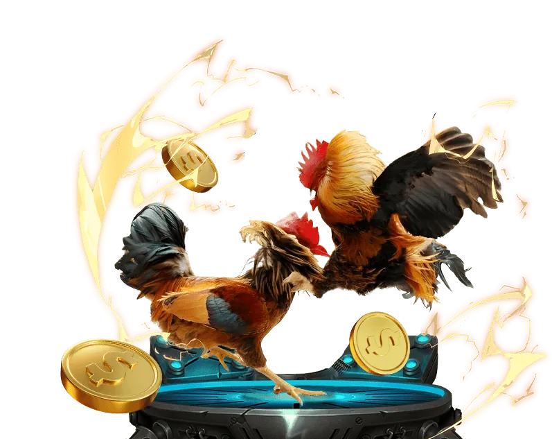 Người đang phân tích chiến lược cá cược trên máy tính